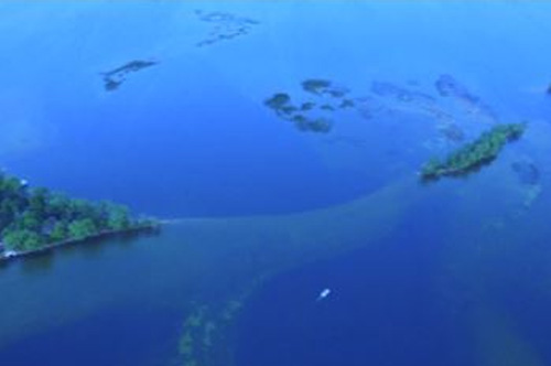 Clearwater Lake Property Owners Association