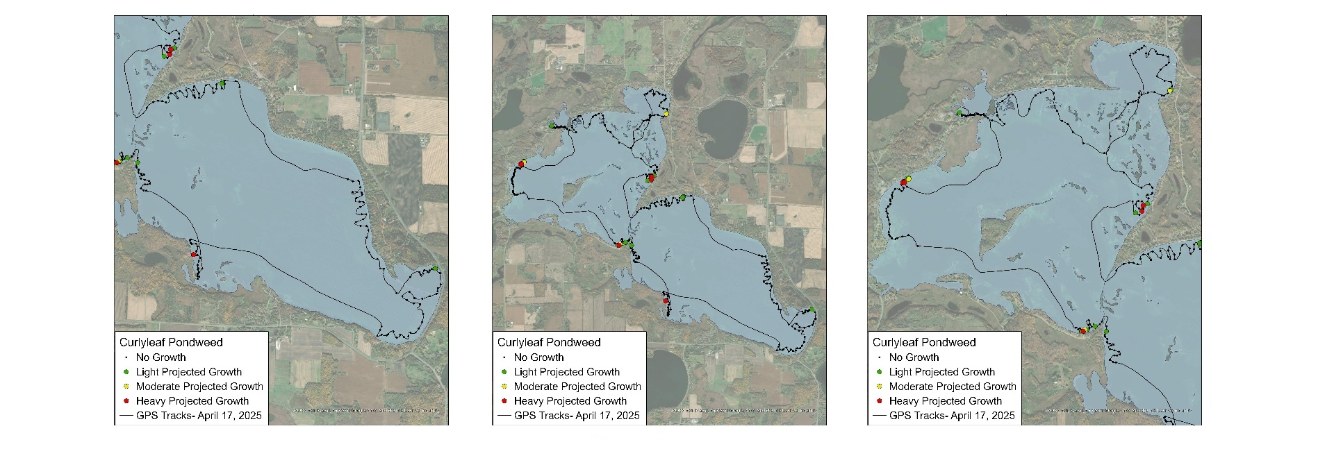 Maps of the east basin, full lake, and west basin of Clearwater Lake showing the delineation path and findings of curlyleaf pondweed.