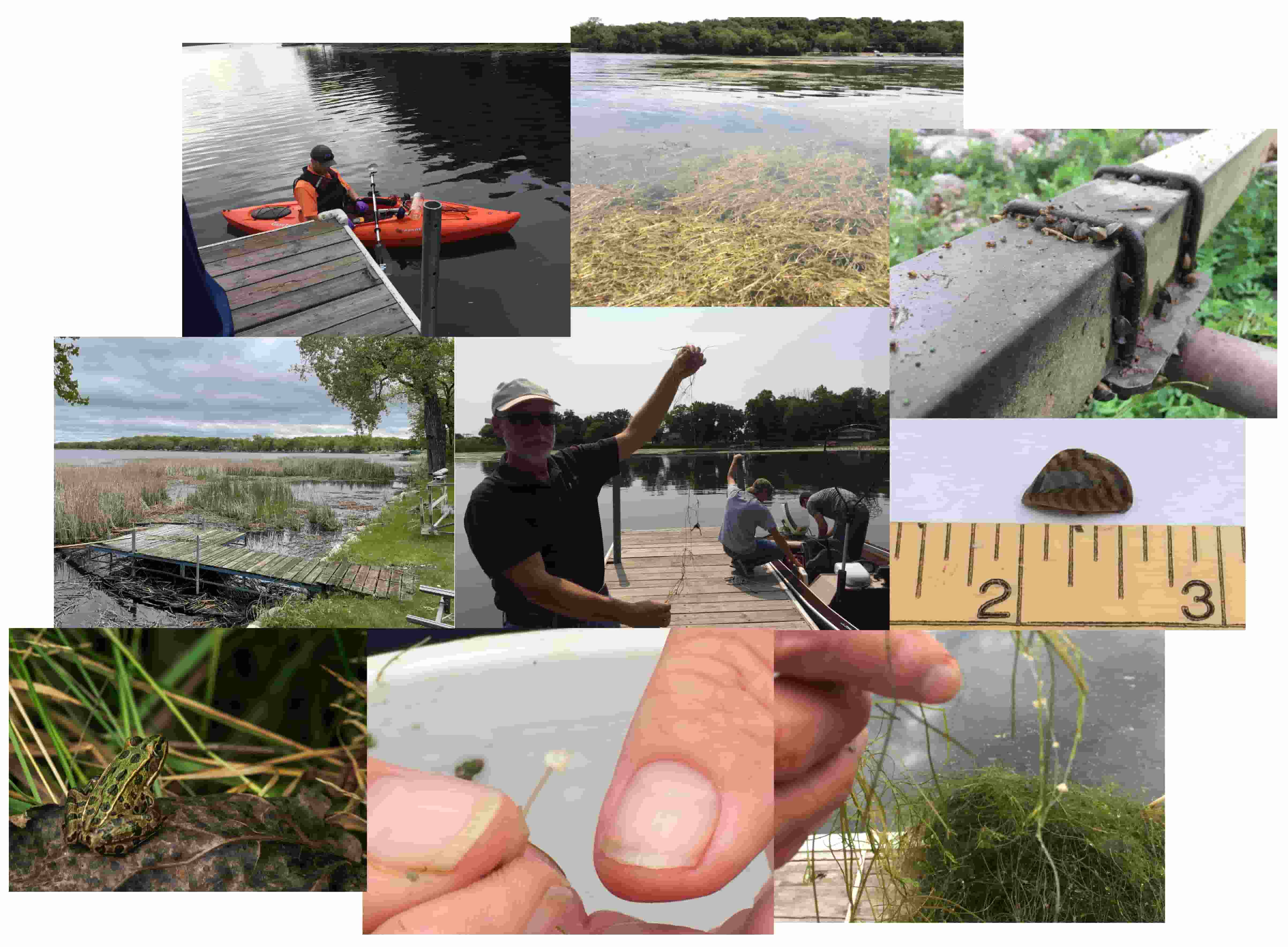 A compilation of nine images showing people or situations showing AIS in nature.