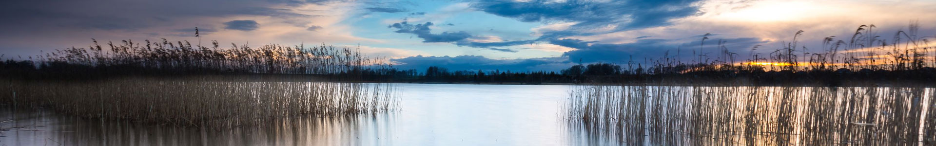 CRWD: Water Quality/Bogs